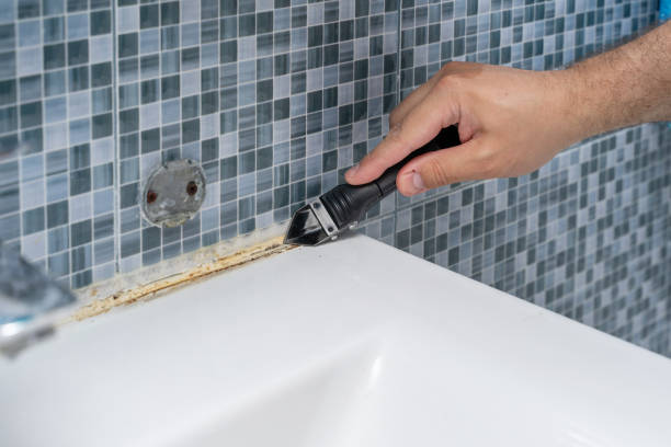 Best Toxic Mold Removal  in Roswell, NM